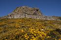 IMG_2970