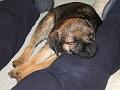 IMG_1847