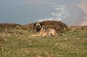 IMG_1800