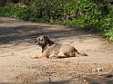 IMG_0152