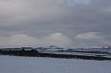 IMG_4546