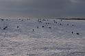 IMG_4582