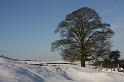 IMG_4858