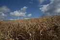 IMG_1536