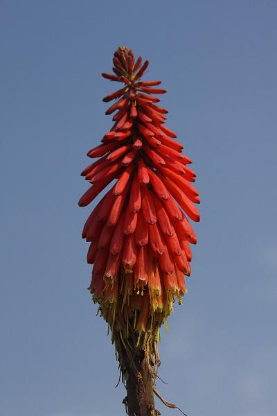 IMG_0821.JPG