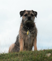 Millie aged 3 years 9 months (September 2010)